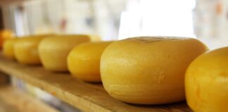 Czy jedzenie białego sera jest zdrowe?