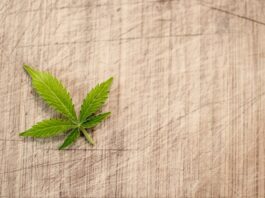 Co ile legalizacja butli co2?