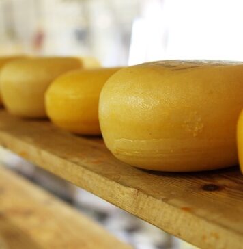 Ile można jeść sera dziennie?